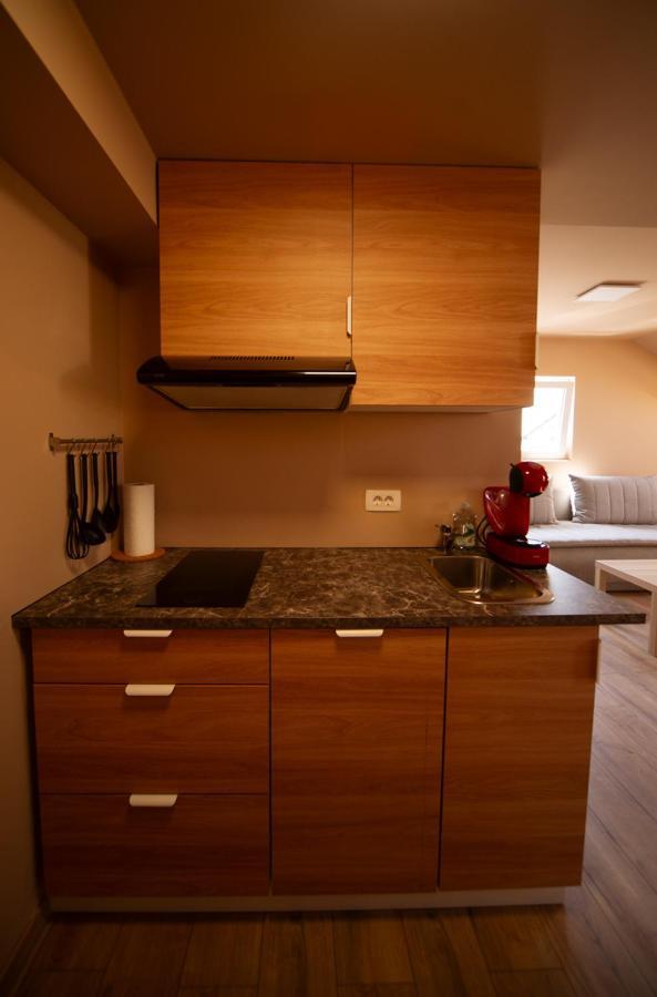 Sport Apartments Radovljica Buitenkant foto